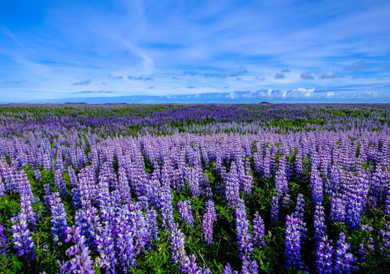 一品一码系统实施方式 一品一码登录平台-引瓴数智