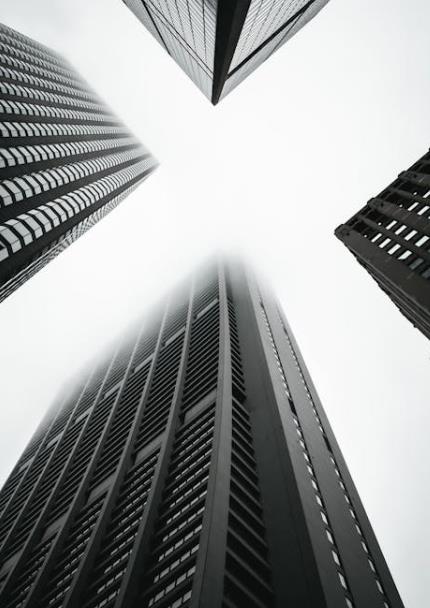 农产品溯源管理体系该该怎么办办做_详细步骤与关键要点-引瓴数智