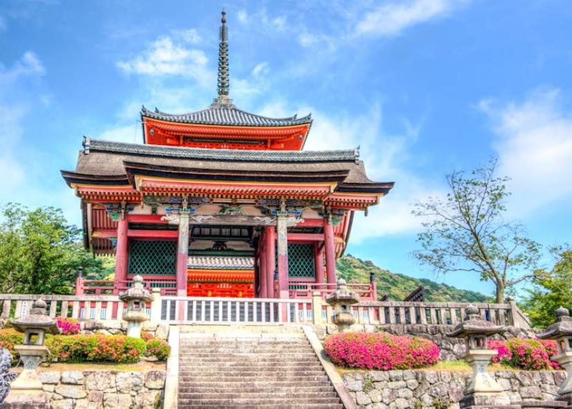 溯源体系登陆密码忘了该该怎么办办找回_实用技巧与步骤指南-引瓴数智