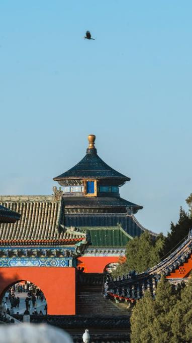 餐饮溯源体系该该怎么办办录入数据-引瓴数智