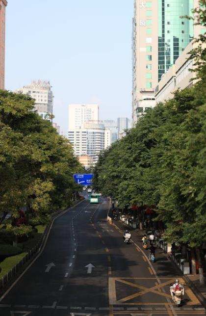 茶饼溯源防伪体系该该怎么办办用-引瓴数智
