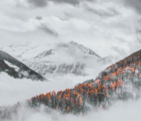 一物一码是什么意思？如何通过追溯平台了解产品信息？引瓴数智助力您的决策！