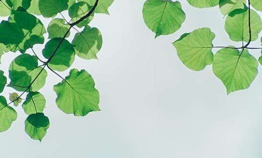 电子溯源系统怎么弄 电子追溯平台使用方法-引瓴数智