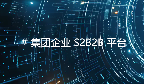 S2B2B平台案例分析：某头部集团企业的深度剖析与价值揭示